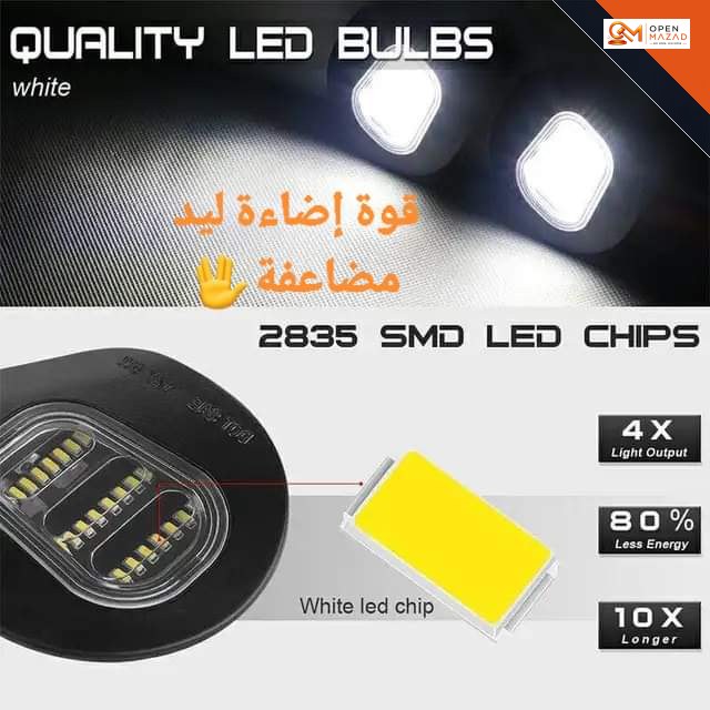 صورة المزاد 3