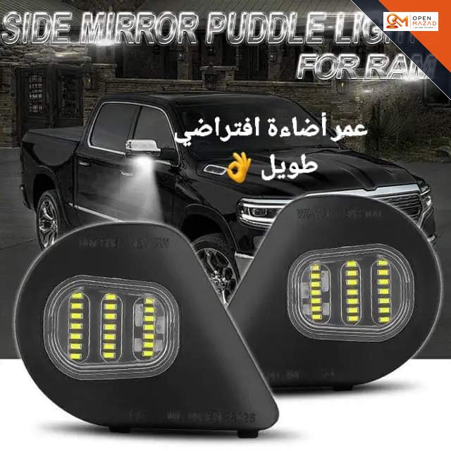 صورة المزاد 4